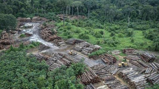 Brazil Amazon Deforestation Up 22 Percent in a Year, 15-Year Record