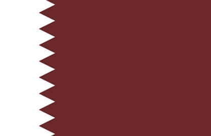 أمير قطر الشيخ حمد بن خليفة آل ثاني في ذكرى ثورة تونس: على الجميع أن يدرك أن الثورات العربية ليست إنقلابات عسكرية ولكن ثورات شعوب تنشد الكرامة والحرية 