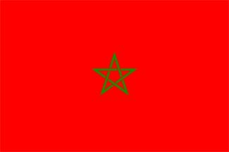 الوفد المغربي في بعثة المراقبين العرب بسوريا يعود الى بلاده