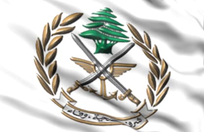 مناورة تدريبية للجيش في حقل حنوش - حامات