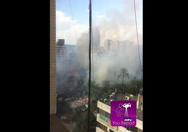 MTV_V7.MtvSixModels.Article