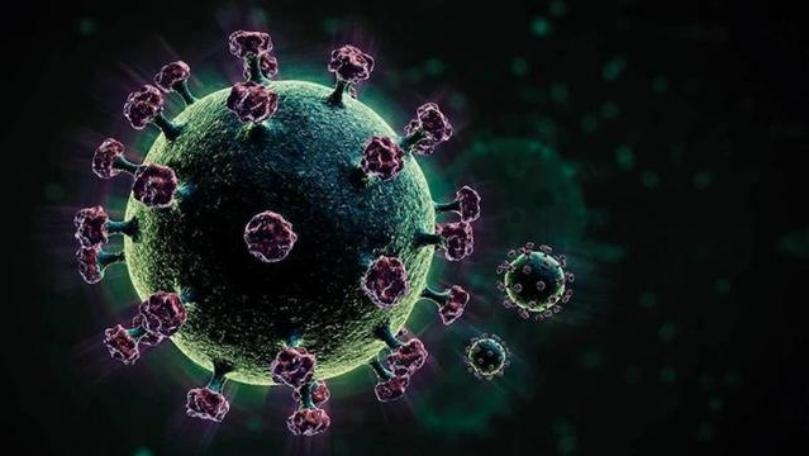 Main Highlight Image