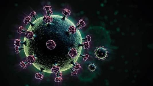 Virus Mutations Down to Chance, in More Ways Than One
