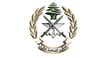 Army frees kidnapped citizens in Hermel