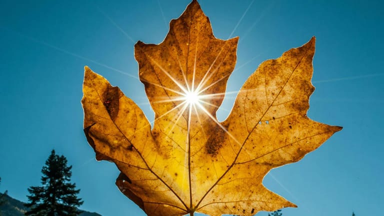 "ميني صيفيّة" في تشرين: الحرارة 30!