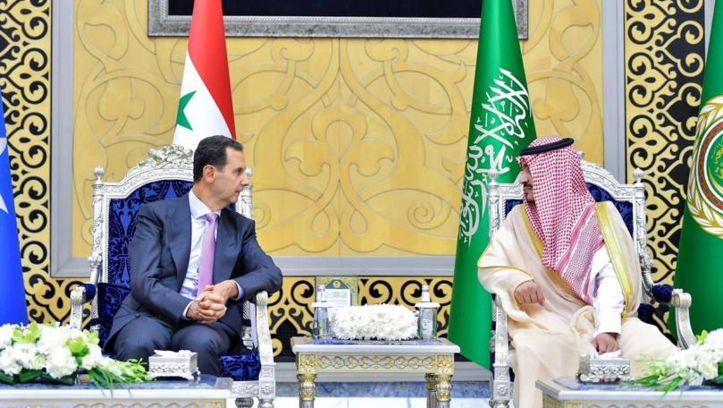 بالصّور: الأسد في جدة