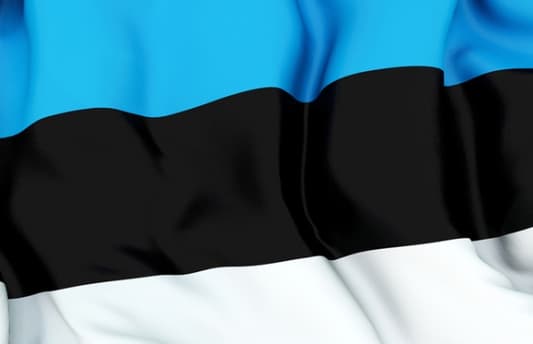 المواصلات مجانا؟