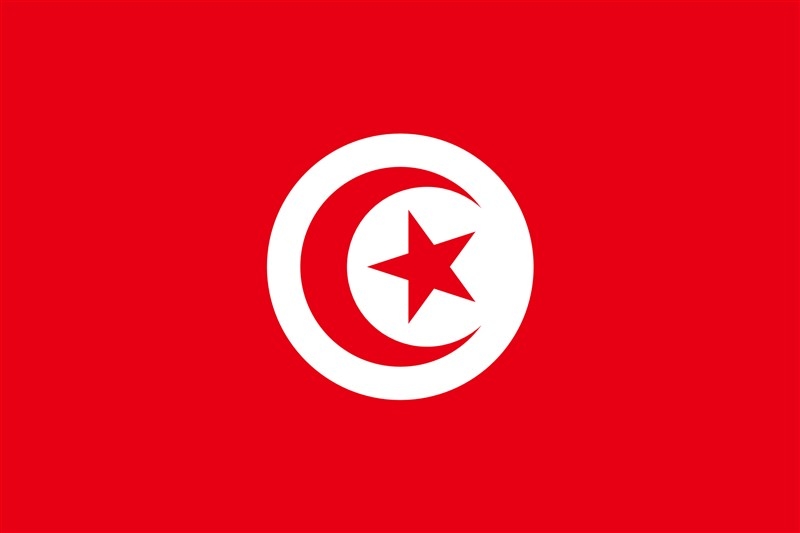 Tunisia voices rejection to any non-African military intervention in Mali