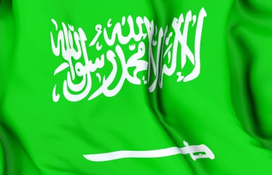 اعادة تكوين هيئة كبار العلماء السعودية المكونة من 20 عضوا برئاسة المفتي