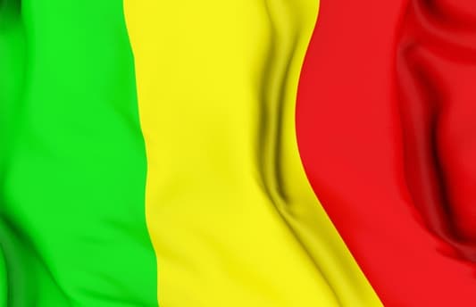 الجنود الفرنسيون والماليون يستعيدون مدينة على طريق غاو في مالي   