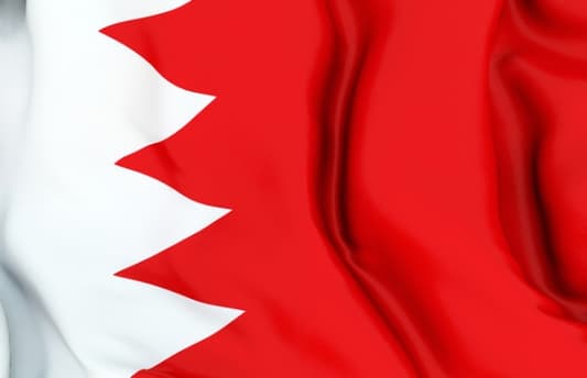 الحكم بالسجن على شرطي في البحرين بتهمة قتل متظاهر