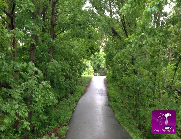 Abdul Ghafour El saadi