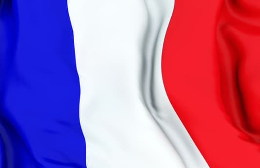 France urges Myanmar leader to investigate anti-Muslim violence