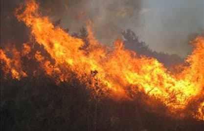 A wildfire in Awkar, Civil Defense working on extinguishing it