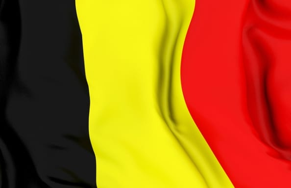 King Philippe I became Belgium's seventh monarch on Sunday's national day after his father Albert abdicated as the head of the fractured nation.