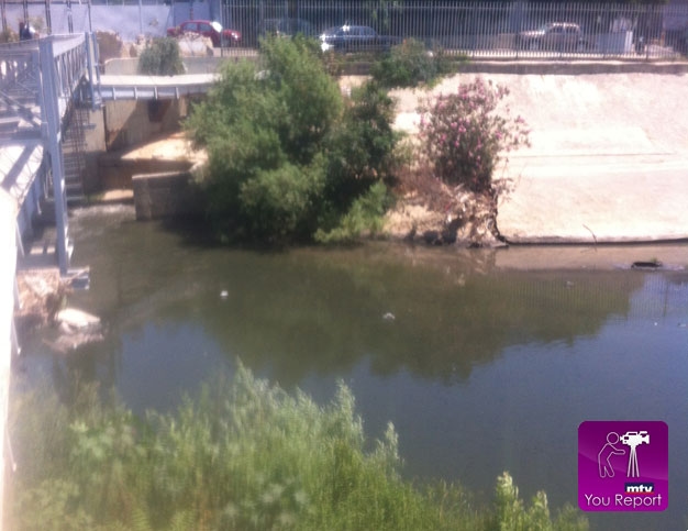 عامر العصيدي