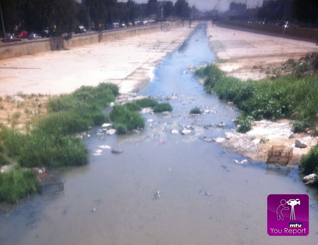 عامر العصيدي