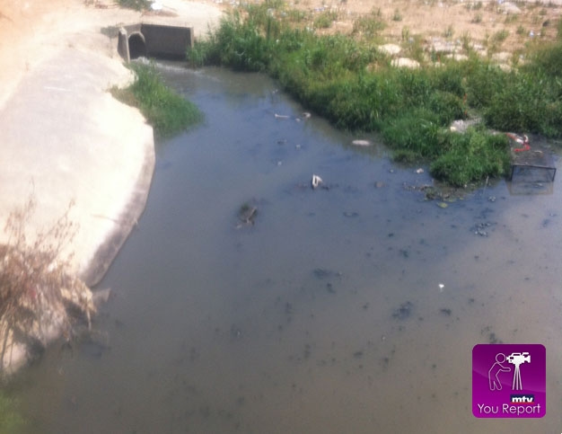 عامر العصيدي