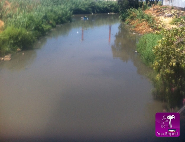 عامر العصيدي