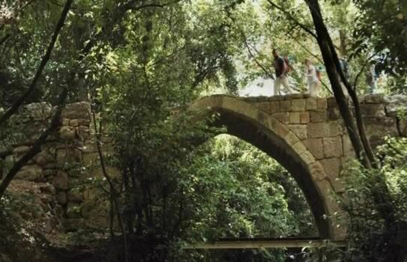Beirut best city topping Paris, Melbourne and Barcelona!