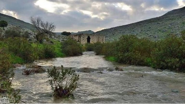 مياه آسنة في مجرى الزهراني.. والمحافظ يتحرك