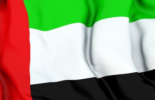 دبي احتفلت بالعام الجديد مع اكبر استعراض للالعاب النارية في العالم