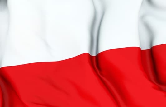 Poland says to halve Afghanistan troop deployment 