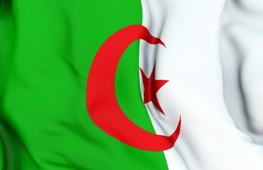 وزير الخارجية الجزائرية: حريصون على ان تنجح تونس في تسيير المرحلة الانتقالية