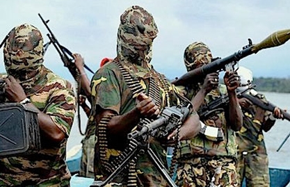 AFP: 7 dead following a Boko Haram raid in Cameroun 