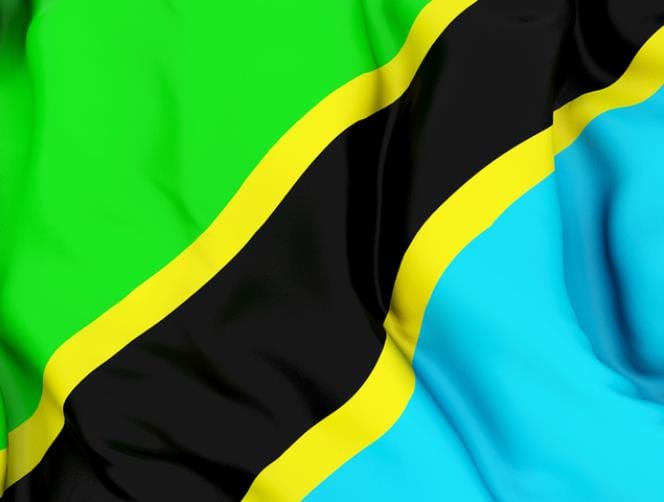 Eight wounded in Tanzanian tourist town restaurant blast 