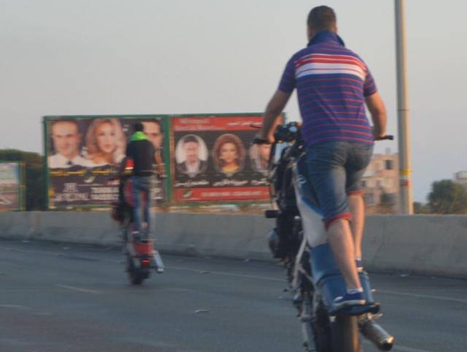 بالصور: "حيوانات" شاردة على طرقات لبنان