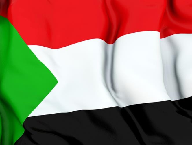 Sudanese Foreign Ministry: Libyan crisis does not call for evacuation of Sudanese nationals