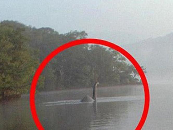بالصورة: وحش في بحيرة في إنكلترا