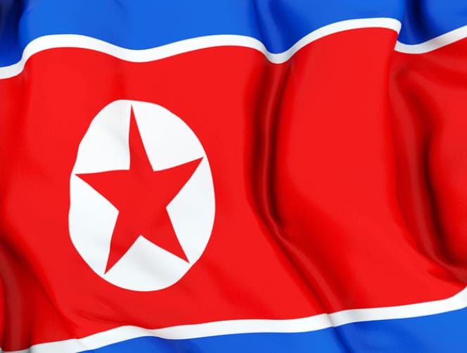 N.Korea urges South to stop leaflet launches