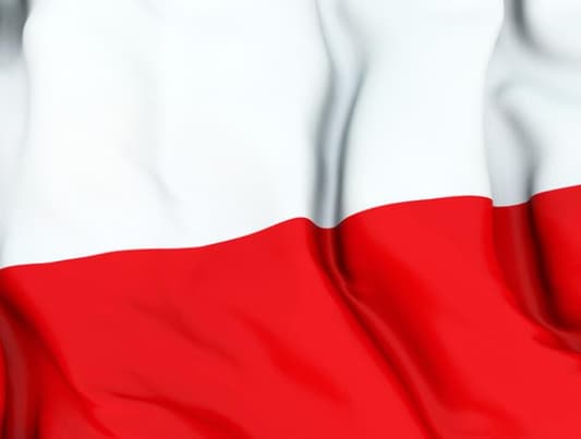 Poland says will not arm Ukraine forces 