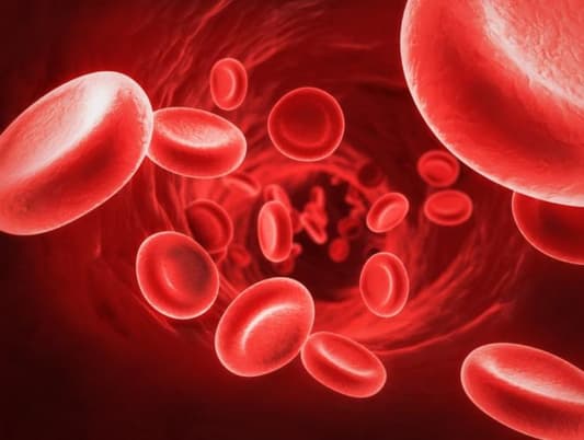 هل تؤثر فصيلة الدم على الذاكرة؟