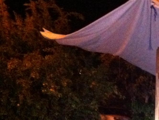 بالصور: سفينة فينيقيّة غريبة على شاطئ جبيل 