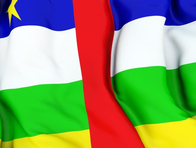 C. Africa president calls for lifting U.N. arms embargo 