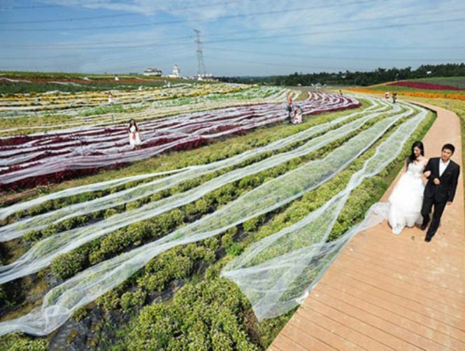 بالصور: فستان زفاف طوله 4100 متر