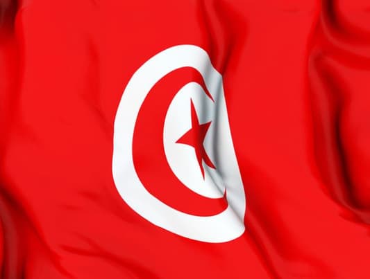 Tunisia's Islamists urge U.S. help to support democracy