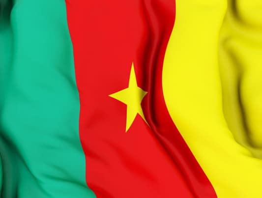 وزارة الدفاع الكاميرونية: 300 عنصر من جماعة "بوكو حرام" فروا وطلبوا اللجوء في الكاميرون خلال شهر أيلول الجاري 
