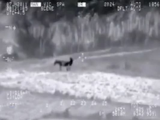 Drone Captures ISIS Member Having Sex with a Donkey