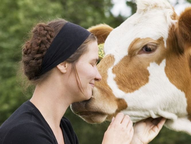 Men Legally Allowed to Have Sex with Animals in Lebanon!!!