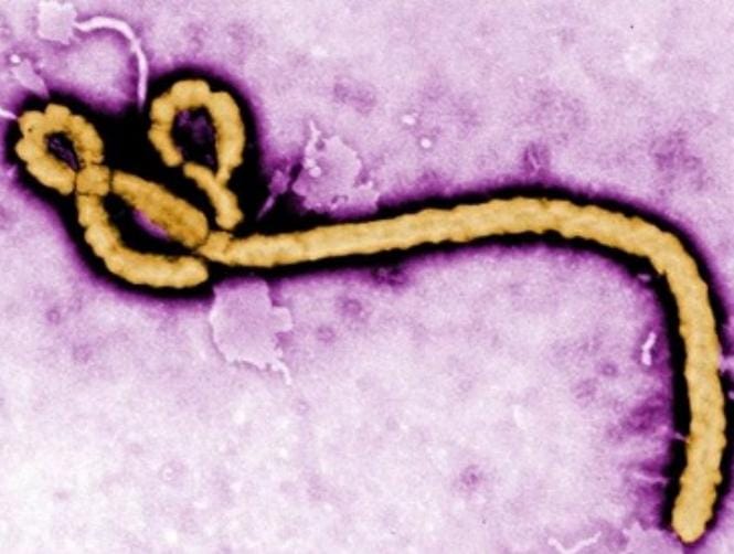 For many journalists Ebola's invisible threat scarier than war