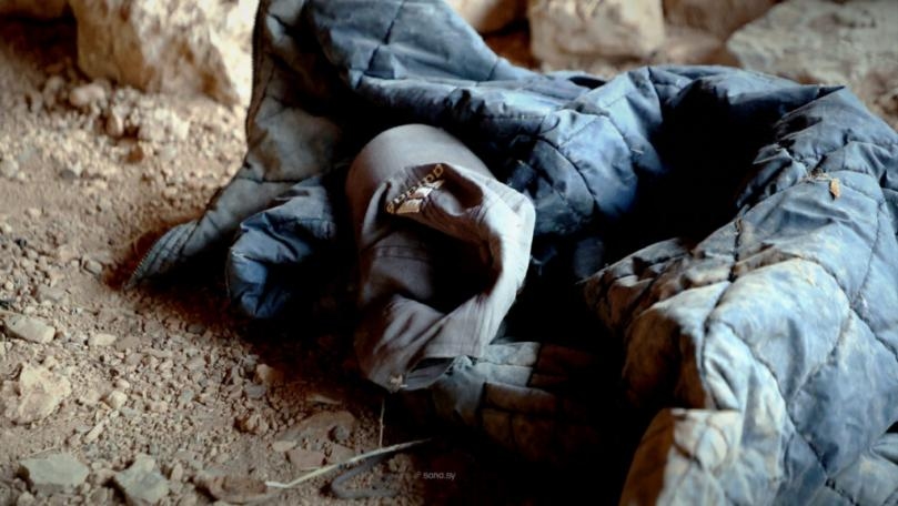 MTV_V7.MtvSixModels.Article