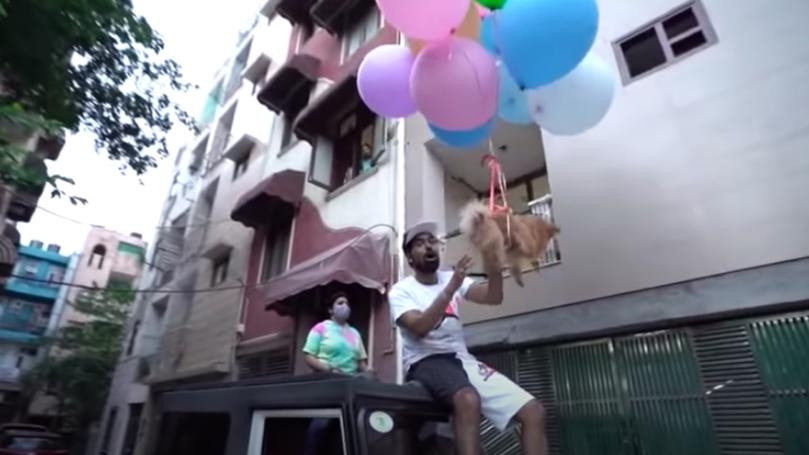 YouTuber Arrested for Tying Dog to Balloons and Making It Float Through Delhi