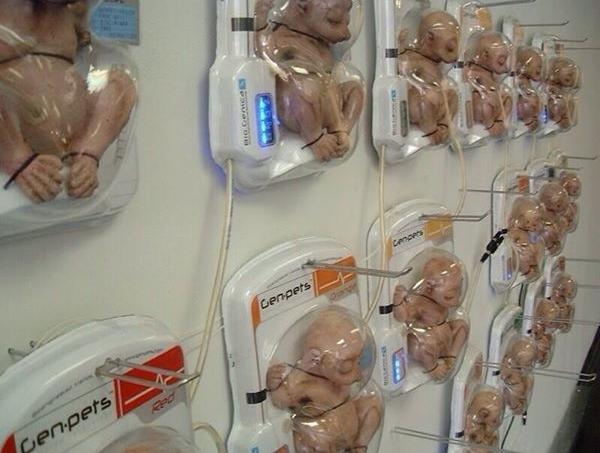 Footage: Is This a Crime Against Humanity?