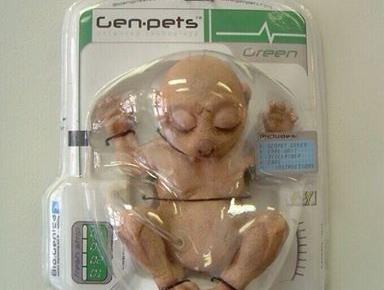 Footage: Is This a Crime Against Humanity?