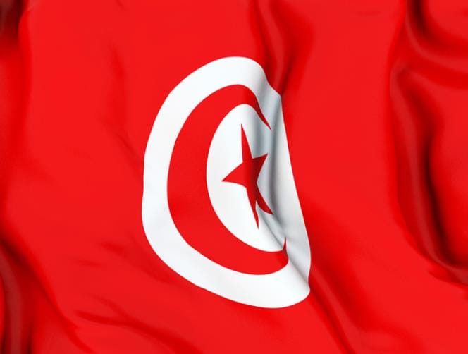 AFP: Tunisian blogger Yassine Ayari is sentenced to a year in jail for defaming the army
