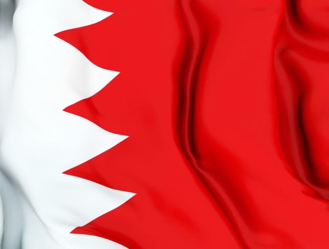 Bahrain ready to back Jordan fight against IS